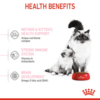 Royal Canin Mother and Babycat - Image 11