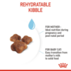 Royal Canin Mother and Babycat - Image 4