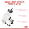 Royal Canin Mother and Babycat - Image 5