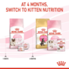 Royal Canin Mother and Babycat - Image 2