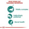 Royal Canin Instinctive 7+ Gravy (WET FOOD - Pouches) 12 x 85g - Image 2