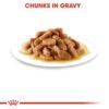 Royal Canin Maxi Puppy (WET FOOD - Pouches) 10 x 140g - Image 5