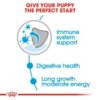 Royal Canin Maxi Puppy (WET FOOD - Pouches) 10 x 140g - Image 4