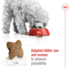 Royal Canin Mini Adult - Image 2