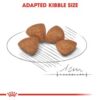 Royal Canin XS Puppy 1.5 KG - Image 7