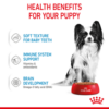Royal Canin XS Puppy 1.5 KG - Image 5