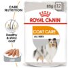 Royal Canin Coat Care (WET FOOD - Pouches) 12 x 85g - Image 2