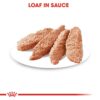 Royal Canin Coat Care (WET FOOD - Pouches) 12 x 85g - Image 3