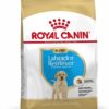 Royal Canin Labrador Puppy 12 KG