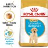 Royal Canin Labrador Puppy 12 KG - Image 2