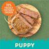 Harringtons Chicken & Potato Grain Free Wet Puppy Food 380g - Image 4