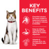 Hill’s Science Plan Mature Adult 7+ Cat Food With Chicken - Image 2