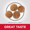 Hill’s Science Plan Sensitive Stomach & Skin Medium Adult Dog Food With Chicken - Image 3