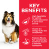 Hill’s Science Plan Sensitive Stomach & Skin Medium Adult Dog Food With Chicken - Image 2