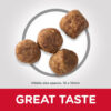 Hill’s Science Plan Medium Mature Adult 7+ Dog Food With Chicken - Image 3