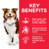 Hill’s Science Plan Medium Mature Adult 7+ Dog Food With Chicken - Image 2