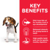 Hill’s Science Plan Medium Puppy Food With Lamb&Rice - Image 2