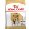 Royal Canin Beagle Adult 3 KG