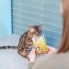 Little BigPaw Gourmet Tender Turkey Mousse Wet Cat Food 85g - Image 2