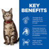 Hill’s Science Plan Adult Wet Cat Food Turkey Pouches (12x85g) - Image 2